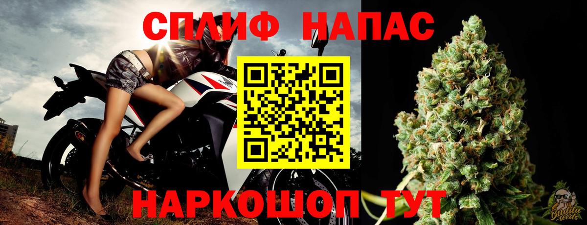 Канабис MAZAR  Вход с VPN  Тихорецк  Бошки марихуана индика 